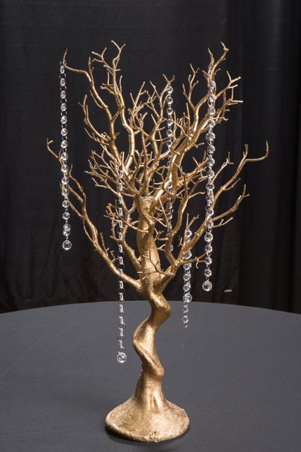 Gold Mazanita Tree - 2