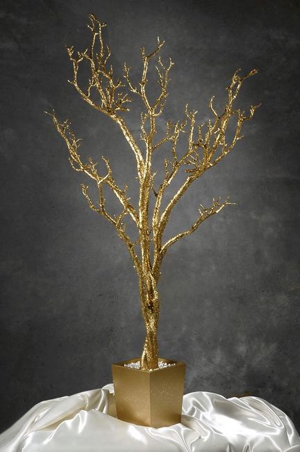 Gold Mazanita Tree - 1