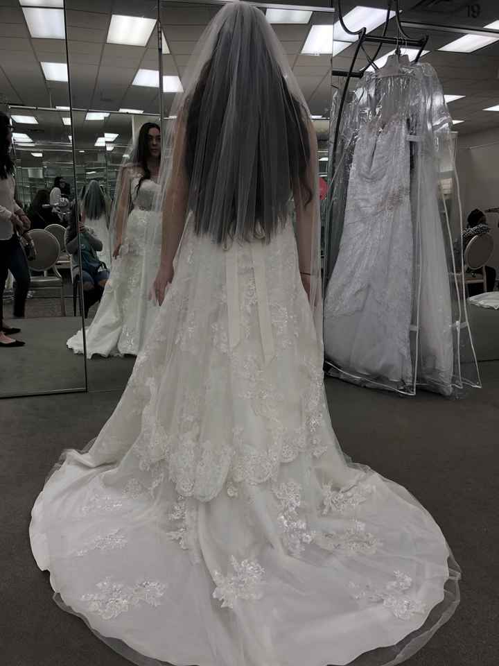 Tried on Dresses for the first time yesterday—left me feeling bad about myself. - 1