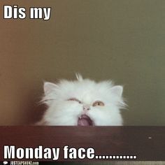 Cranky pants Monday