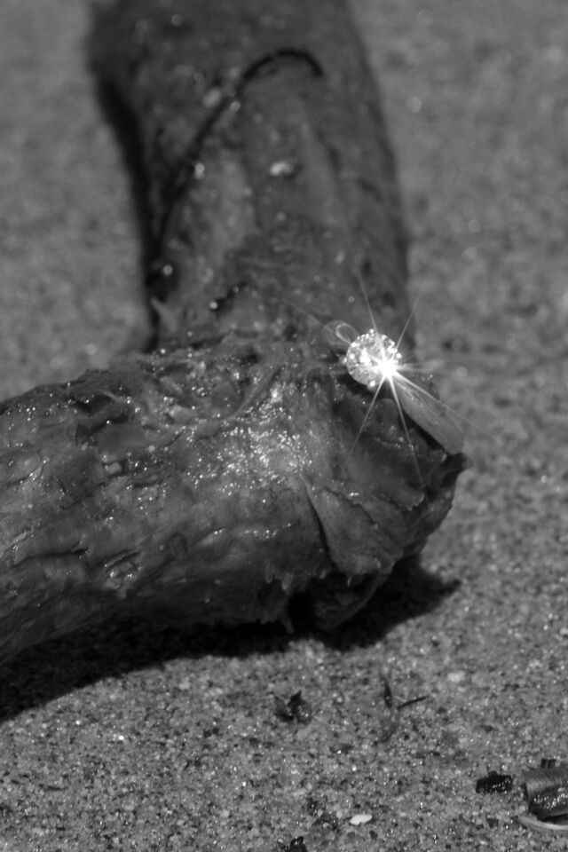 We haven't had any ring porn in awhile...