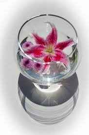 Cocktail Table Centerpieces?