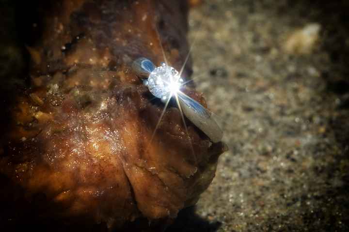 Let's see those rings!!