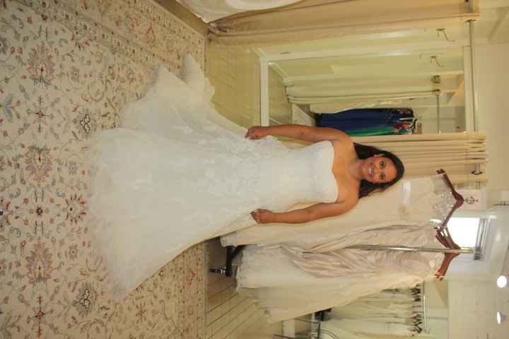 Dress Decision Help Needed- with pics