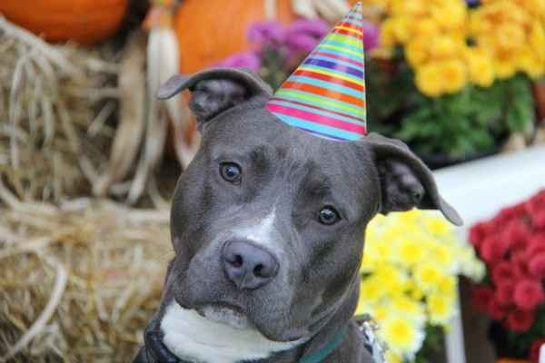 Ugggggh (WARNING: PITY PARTY)