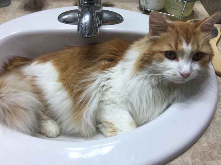 Seems like there are a lot of new people around...