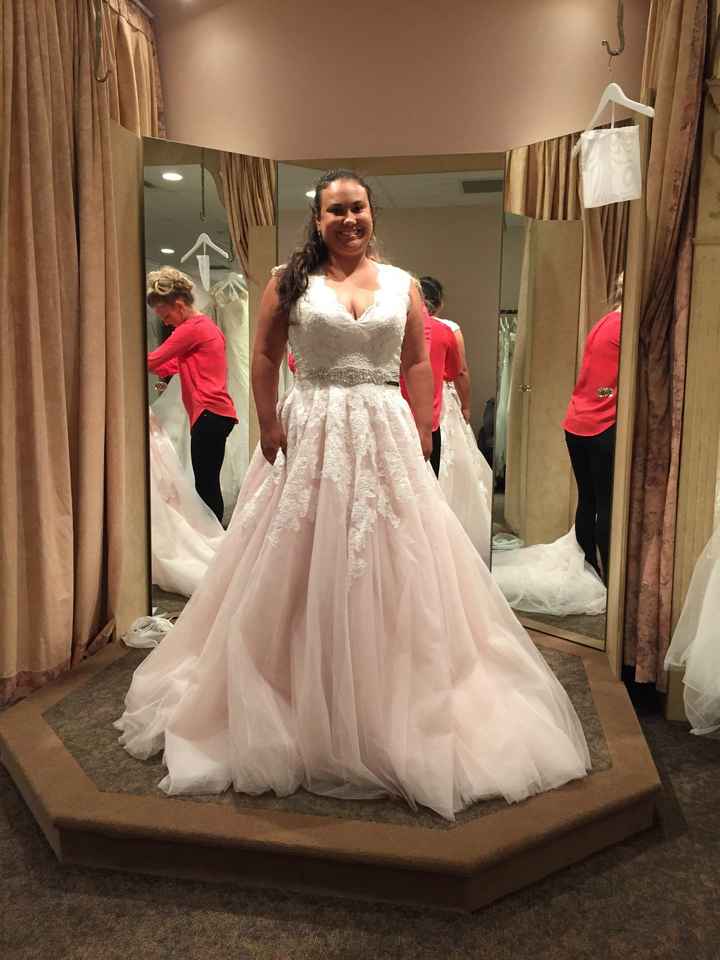 Dress Shopping Confusion *pics*