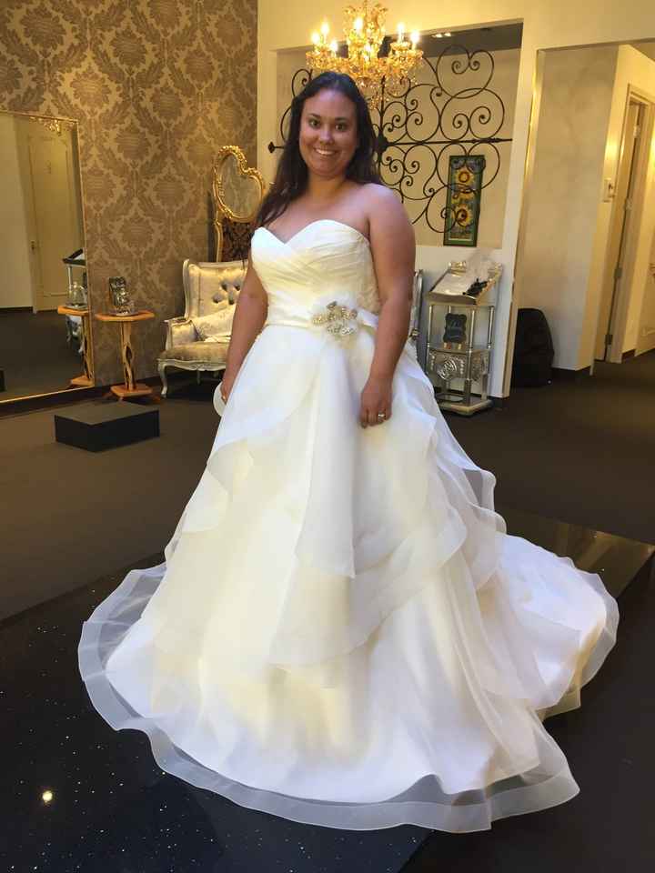 Finally Said YES TO THE DRESS!!!