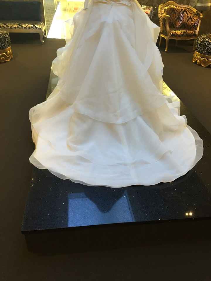 Finally Said YES TO THE DRESS!!!