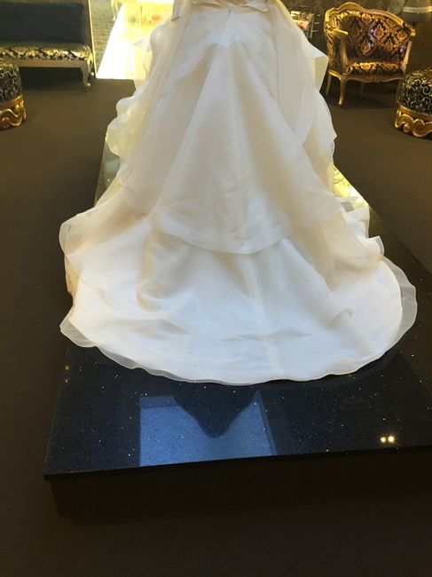 Finally Said YES TO THE DRESS!!!