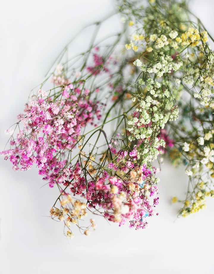 Dried flowers for wedding - 1