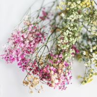 Dried flowers for wedding - 1