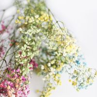 Dried flowers for wedding - 2