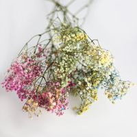 Dried flowers for wedding - 3