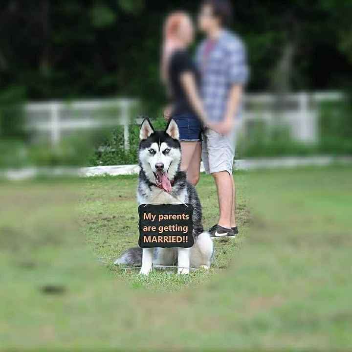 Wedding day
