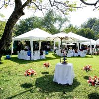 Most Important to you?