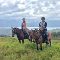 FH and I can't decide on a honeymoon!