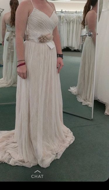 Dress Appointment was a Success! - 1