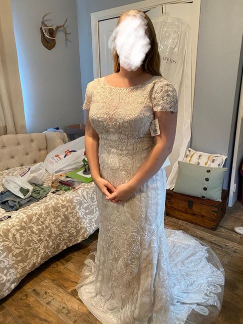 Second Dress Dilemma 1