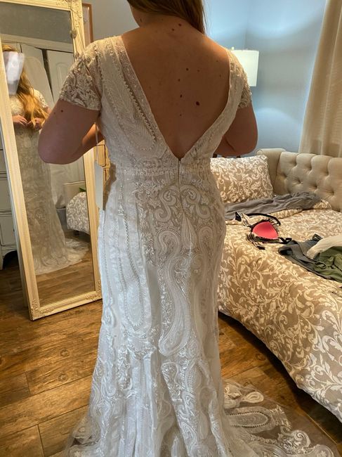 Second Dress Dilemma 2