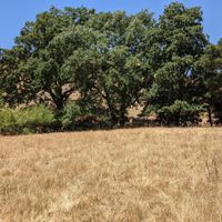 Which chairs for the ceremony?! - 1