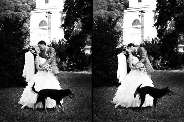 Funky Wedding pics