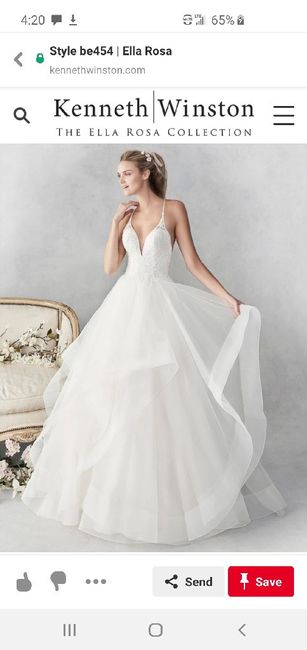 Come see my dress! 4