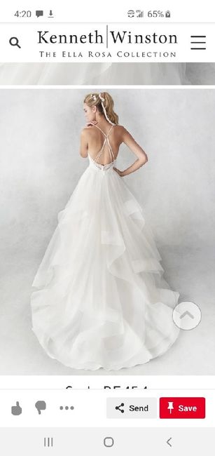 Come see my dress! 5