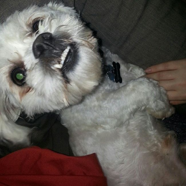 Everyone - do a quick intro!