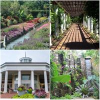 Let's see the wedding venues!