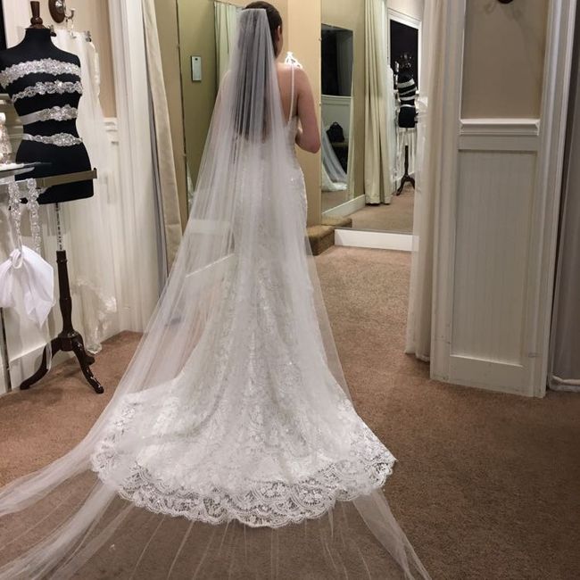  i Picked Up My Dress Today!! - 3