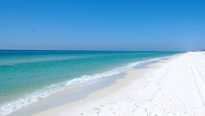Florida Honeymoon Ideas?