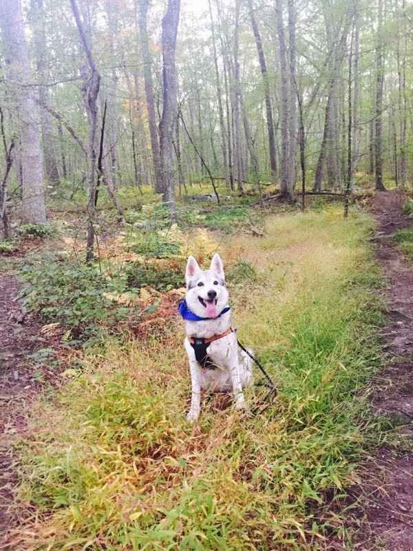 Nwr: anyone else enjoying this fall weather