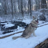 Let me see those fur babies!