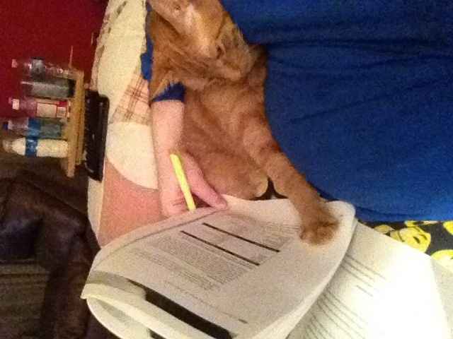 NWR: Pics of your pets :)