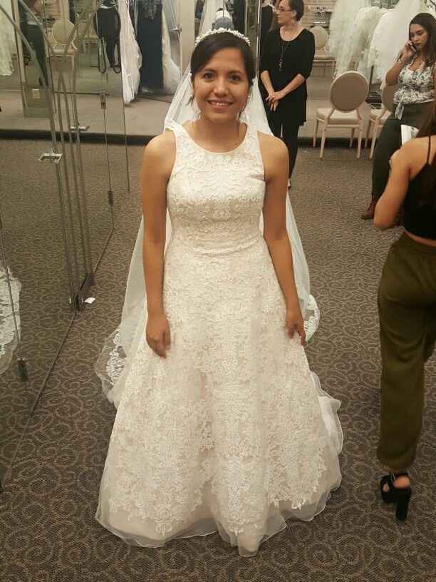 I think I found the dress !!