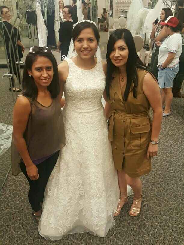 I think I found the dress !!