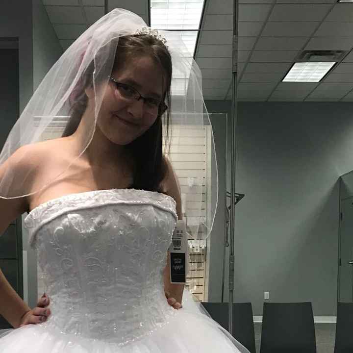 Veil or hair clip - 1
