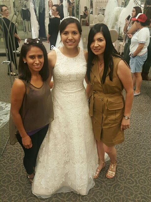 I think I found the dress !!