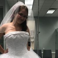 Veil or hair clip - 1