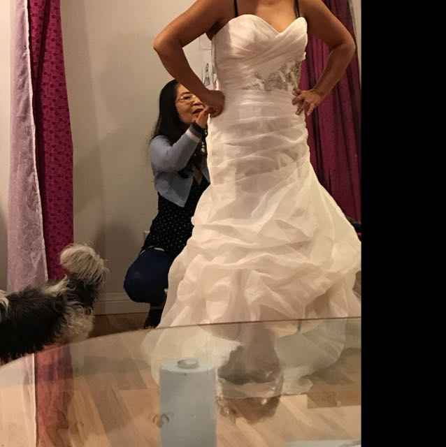 How much was your wedding dress? - 1