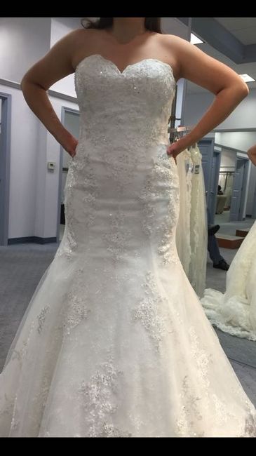 Belt or no belt?