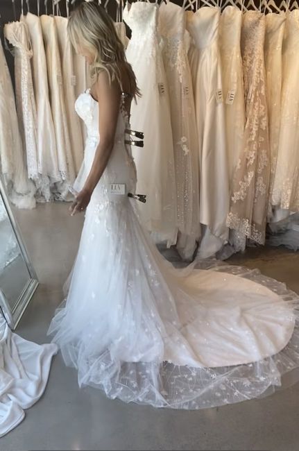 **style of this wedding dress? - 6