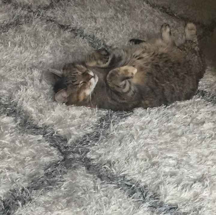 NWR my heart shattered with my teacup