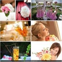 How did you choose the colors for your wedding?