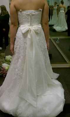 Bought My Dress Today *Pics*