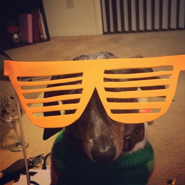 Show me your fur babies!