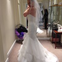 Bought dress, need opinions!