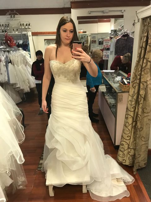 Did you say yes to the dress? 1
