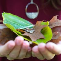 Calling All June 2019 Brides! Let's See Those Rings!! - 2